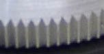 P8.jpg