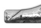 F3.jpg
