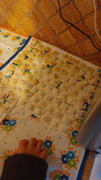 IMG-20221125-WA0000.jpeg
